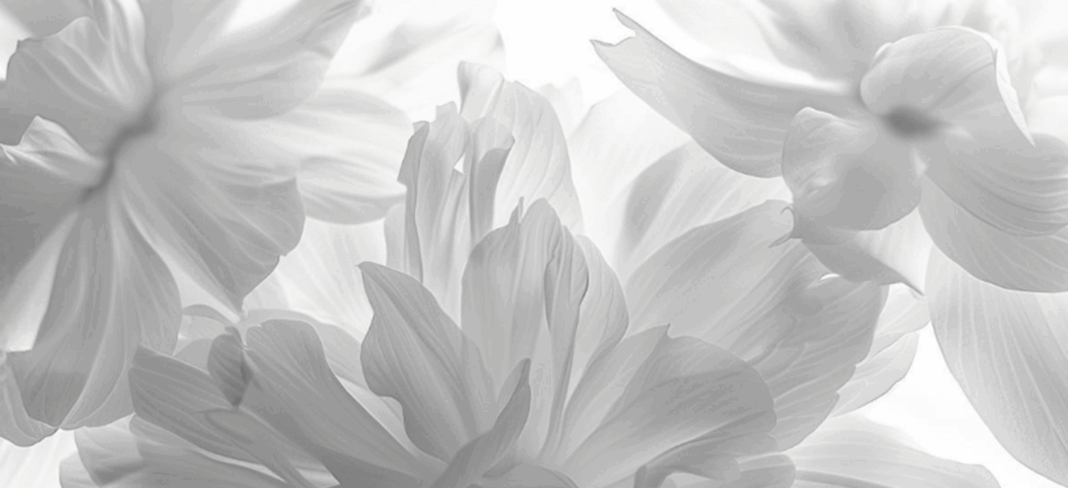 Personal branding Alessandra